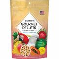 Unconditional Love 1.25 lbs Tropical Fruit Gourmet Pellets Bird Food for Macaw UN3631513